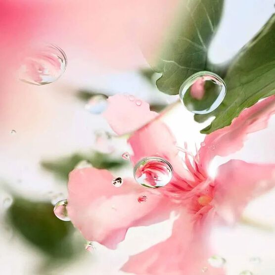 Perfume Lanc&ocirc;me &Ocirc;ver The Top Feminino Eau de Toilette